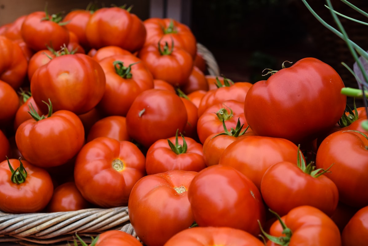 Planowanie zbilansowanych posiłków